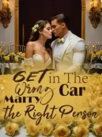 Get in The Wrong Car, Marry the Right Person Novel Cover
