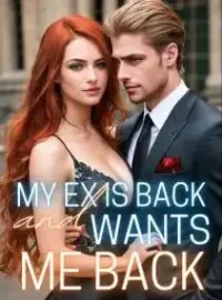 My Ex-Mr. Is Back and Wants Me Back Novel Cover