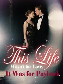 This Life Wasn’t for Love, It Was for Payback Novel Cover