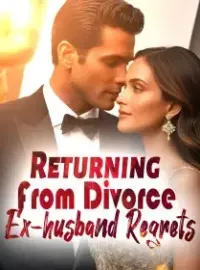 Returning From Divorce: Ex-husband Regrets Novel Cover