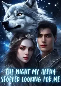 The Night My Alpha Stopped Looking for Me Novel Cover