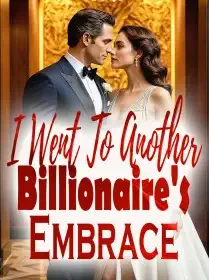 I Went To Another Billionaire's Embrace Novel Cover