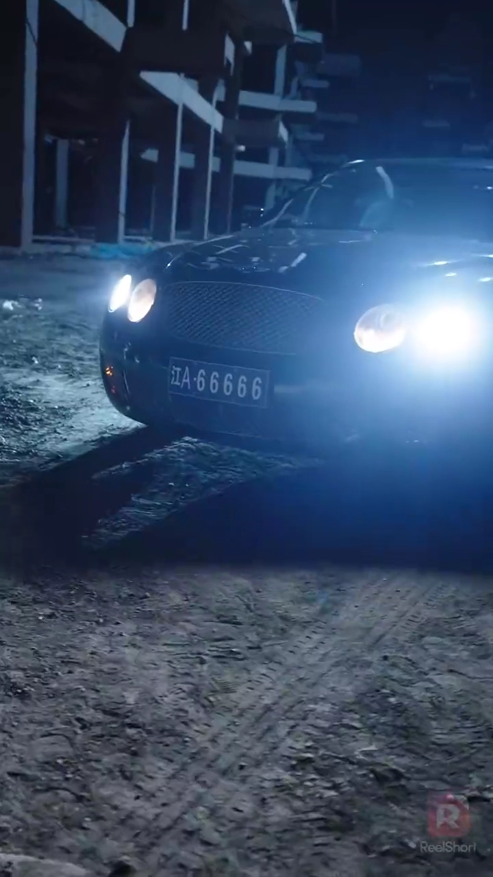 Mon gendre parfaitPhoto