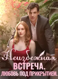 Неизбежная встреча. Любовь под прикрытием.