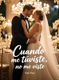 Portada de la novela Cuando me tuviste, no me viste