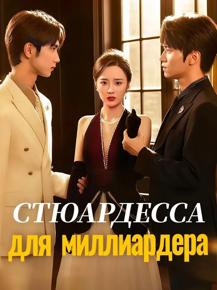 Стюардесса для миллиардераМини-сериал