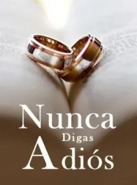 Portada de la novela Nunca Digas Adiós