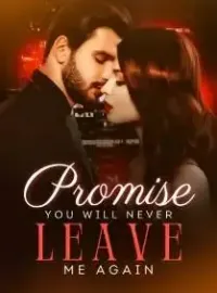 Promise You will Never Leave Me Again Novel Cover