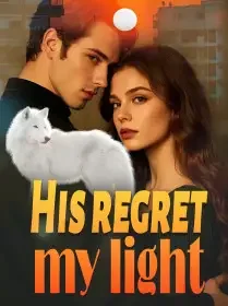 His Regret, My Light Novel Cover
