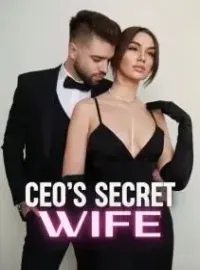 CEO's Secret Wife Novel Cover