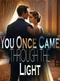 You Once Came Through the Light Novel Cover