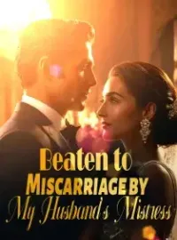 Beaten to Miscarriage by My Husband’s Mistress Novel Cover