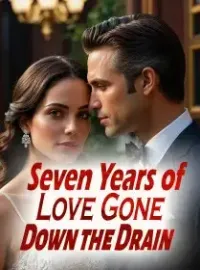 Seven Years of Love Gone Down the Drain Novel Cover