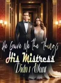 He Gave Me the Things His Mistress Didn't Want Novel Cover