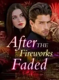 After the Fireworks Faded Novel Cover