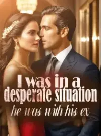 I was in a desperate situation, he was with his ex Novel Cover