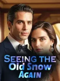 Seeing the Old Snow Again Novel Cover