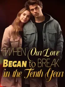 When Our Love Began to Break in the Tenth Year Novel Cover