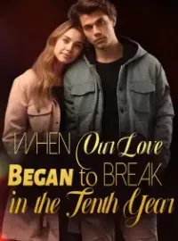 When Our Love Began to Break in the Tenth Year Novel Cover