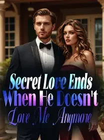 Secret Love Ends When He Doesn't Love Me Anymore Novel Cover