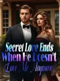 Secret Love Ends When He Doesn't Love Me Anymore Novel Cover