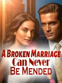 A Broken Marriage Can Never Be Mended! Novel Cover