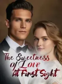 The Sweetness of Love at the First Sight Novel Cover