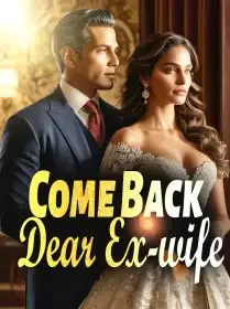 Come Back, Dear Ex-wife. Novel Cover