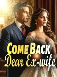 Come Back, Dear Ex-wife. Novel Cover