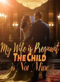 My Wife is Pregnant: The Child is Not Mine Novel Cover