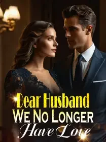 Dear Husband, We No Longer Have Love Novel Cover
