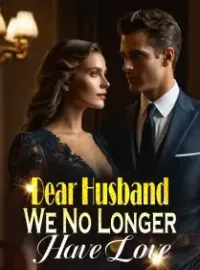 Dear Husband, We No Longer Have Love Novel Cover