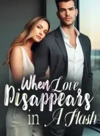 When Love Disappears in A Flash! Novel Cover