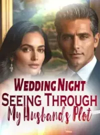 Wedding Night: Seeing Through My Husband’s Plot Novel Cover