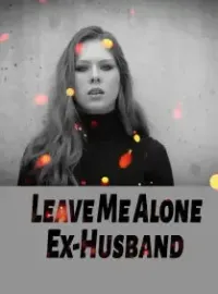 Leave Me Alone, Ex-Husband！ Novel Cover