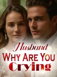 Husband, Why Are You Crying? Novel Cover