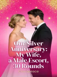 Our Silver Anniversary: My Wife, a Male Escort, 30 Rounds Novel Cover