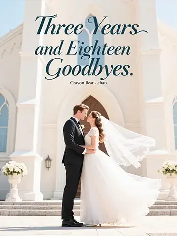 Three Years and Eighteen Goodbyes Novel Cover
