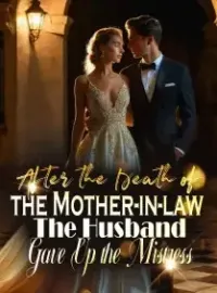 After the Death of the Mother-in-law, The Husband Gave Up the Mistress Novel Cover