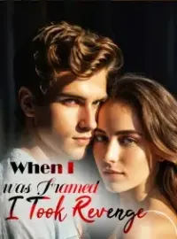 When I was Framed, I Took Revenge Novel Cover