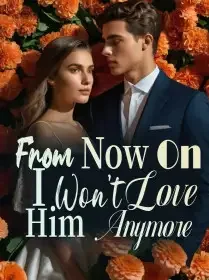 From Now On, I Won’t Love Him Anymore Novel Cover