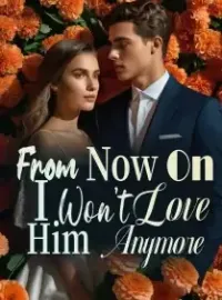 From Now On, I Won’t Love Him Anymore Novel Cover