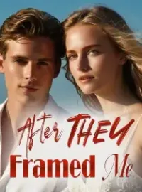After They Framed Me Novel Cover