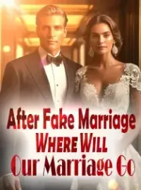 After Fake Marriage: Where Will Our Marriage Go? Novel Cover