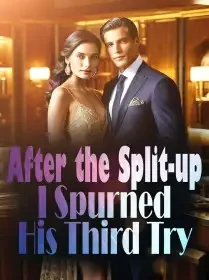 After the Split-up, I Spurned His Third Try