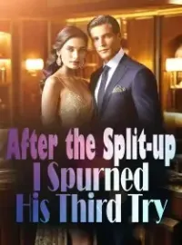After the Split-up, I Spurned His Third Try Novel Cover