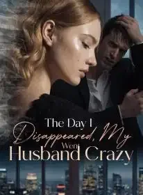 The Day I Disappeared, My Husband Went Crazy Novel Cover