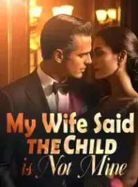 My Wife Said the Child is Not Mine Novel Cover