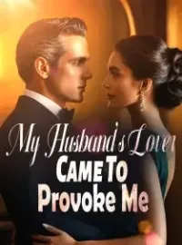 My Husband's Lover Came To Provoke Me Novel Cover