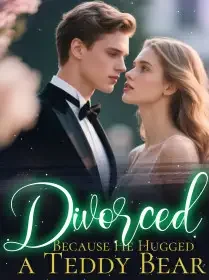 Divorced Because He Hugged a Teddy Bear Novel Cover